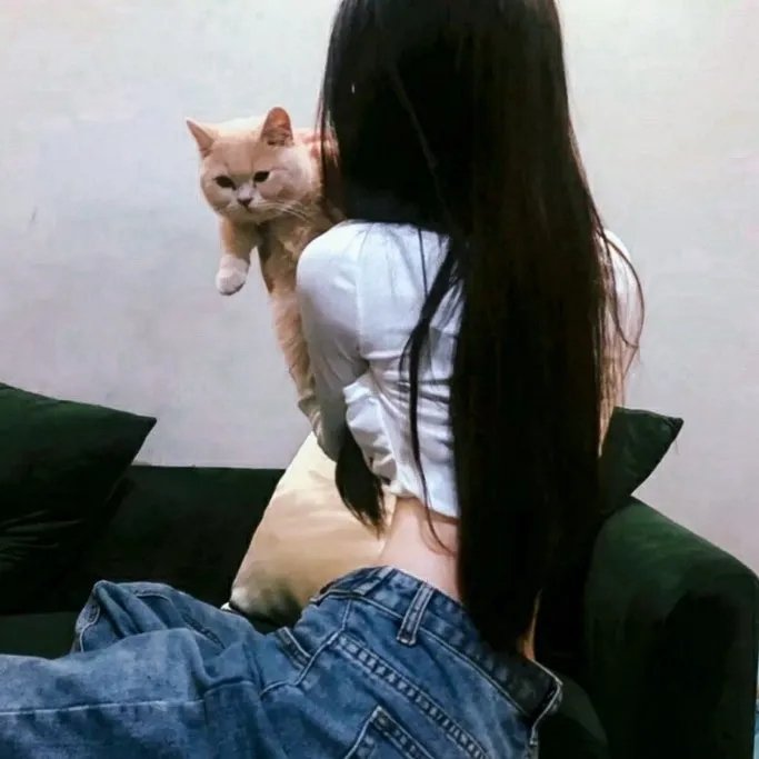 我来也大战四猛虎